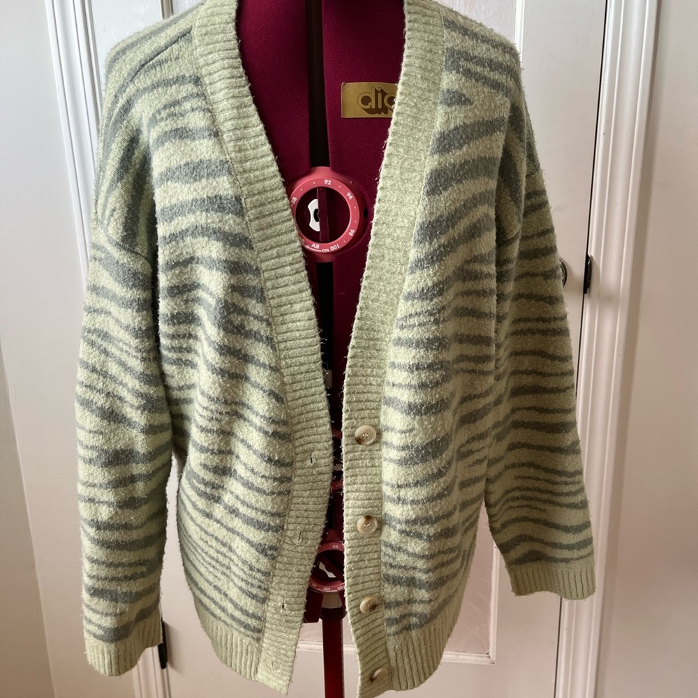 Striped Green Zebra Le Lis Cardigan Sweater